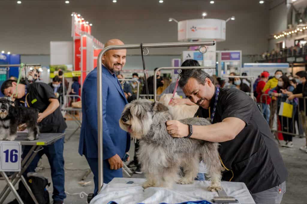 Latin Pet 2022 140-min