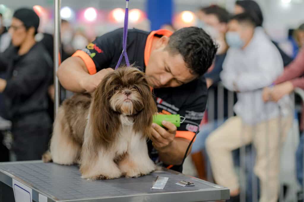 Latin Pet 2022 187-min