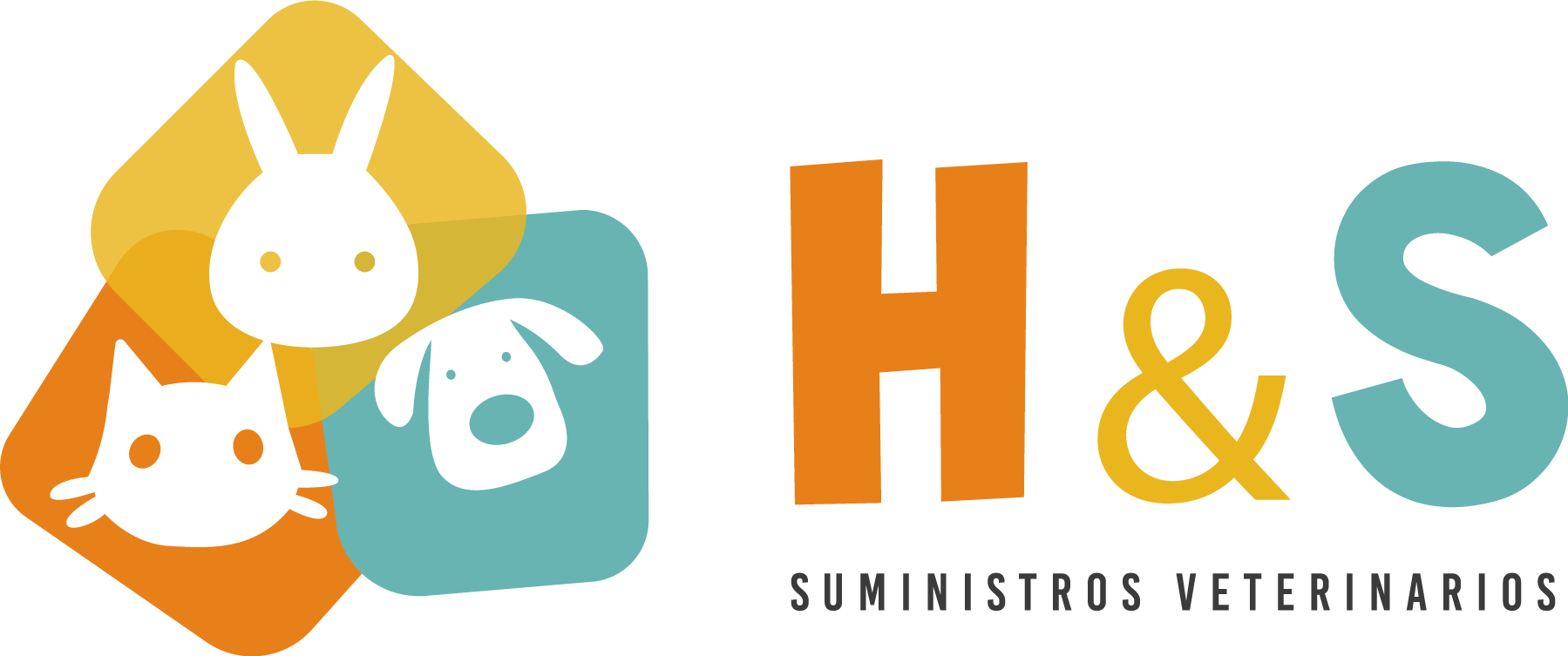 Copia de LOGO-H&S (1)