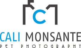 Logo color JPG