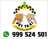 Pet Taxi